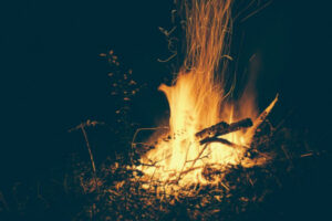 Time to cut fire risk
