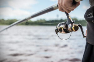 From cricket to fishing