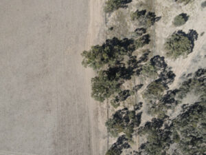 Levees to optimise environmental flows