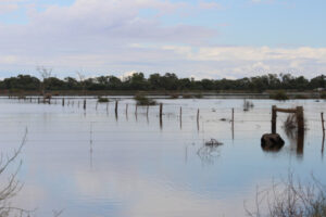 Counting the cost of floods in Gannawarra Shire