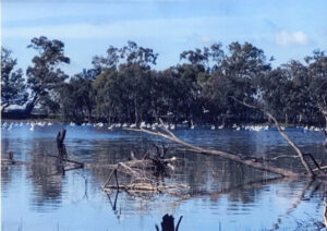Lake plans concerns