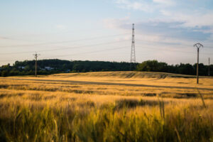 VNI advances land access