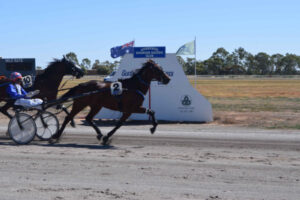 Trots ready to run