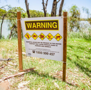 Algae warning