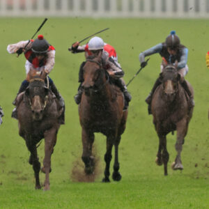 Horse whip limit trial ‘cunning’, says trainer