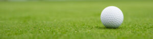 Veterans stableford