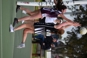 Pies still in full flight