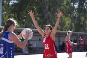 Swans stun reigning premiers