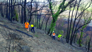 Students lend a helping hand
