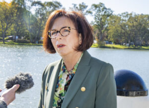 Labor dodging scrutiny, says Webster