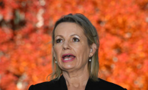 Coalition gets ‘strong endorsement’ in Farrer, says Sussan Ley