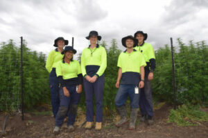 Murray cannabis facility growing strong