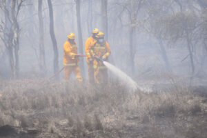 Above-normal fire season forecast