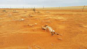 Drought shift needs plan