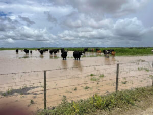 Farmers watch a slow-moving crisis