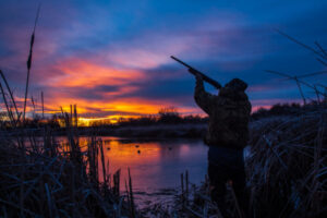 Duck hunting season opening a damp squib