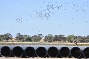 LAKE BYPASS STARTS