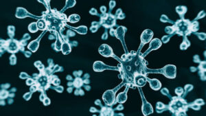 Early anthrax reporting praised