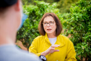 Buybacks ‘a risk for grape growers’