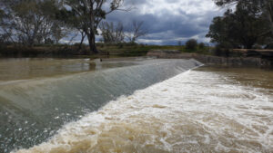 E-water a boon for fish