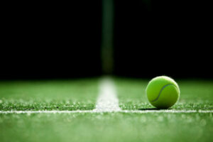 Over the Net
