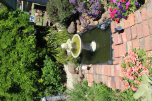 Gardens spring to life for open day