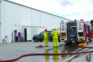 NO TREAT FOR FIRIES