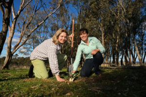 Grants for land care and community groups