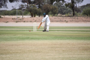 Bulldogs hold off Blues