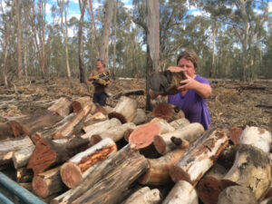 Firewood season closing