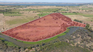 Land purchase perfect for Grammar