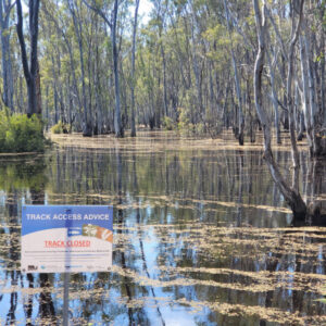 Gunbower Forest tourism impact report gets a serve