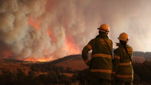 Project firefighters sought