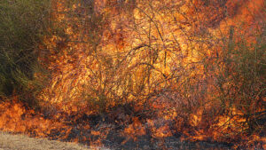 Authorities on heat alert