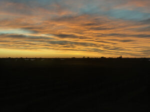 Crisp mornings, with mild days