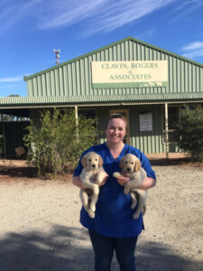 Vet passion came early for Cohuna award-winner