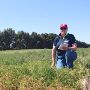 Pulse strong at BCG Nullawil field day