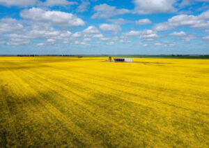 Farms hit market amid sales boom