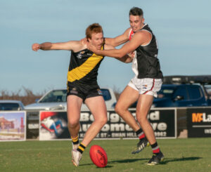 Tigers roar at home