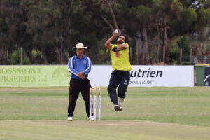 Ruthless Tigers maul Roodogs