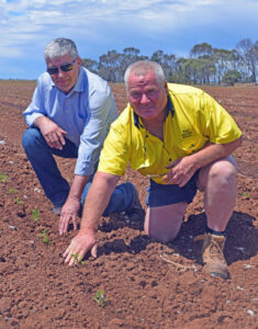 Revival for crop land