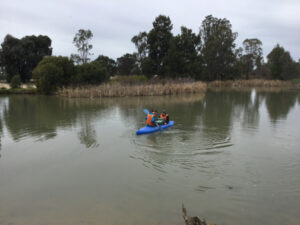 Fish check into hotels at Barham Lakes