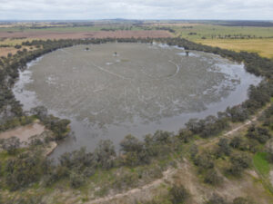 Wetlands to get health check