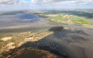 Floods hit almost 380,000ha of crops and pasture