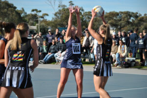 Dogs triumph by a point