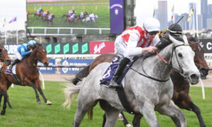 McNeil fancies Right to Party on return