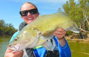 Trout cod like finger licking chicken