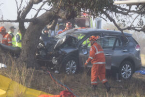 Woman serious after tree hit
