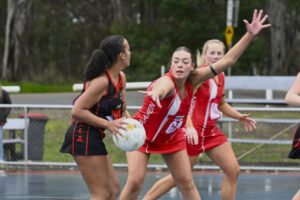 Tigers maul Lions