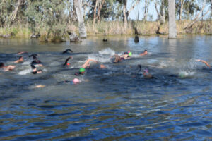 Bridge to Bridge swim in doubt: water tests begin
